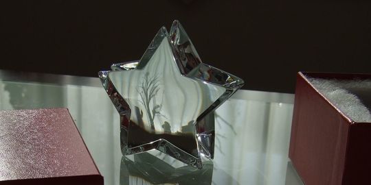 バカラのクリスタル製、ザンザンスターがテーブルの上に置いてある写真。鋭いエッジと複雑なカットが施された星のオブジェが、光を反射して幻想的な輝きを放ち、空間に幸運と特別な美しさを添えます。名入れギフトとしても、特別な願いを込めるオブジェとしても最適な贈り物です。