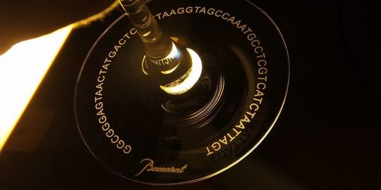 退職記念に贈るバカラ オノロジーボルドーワイングラスの底面に、教授が長年研究された生物に関するアルファベットの文字列を一周名入れ彫刻した写真